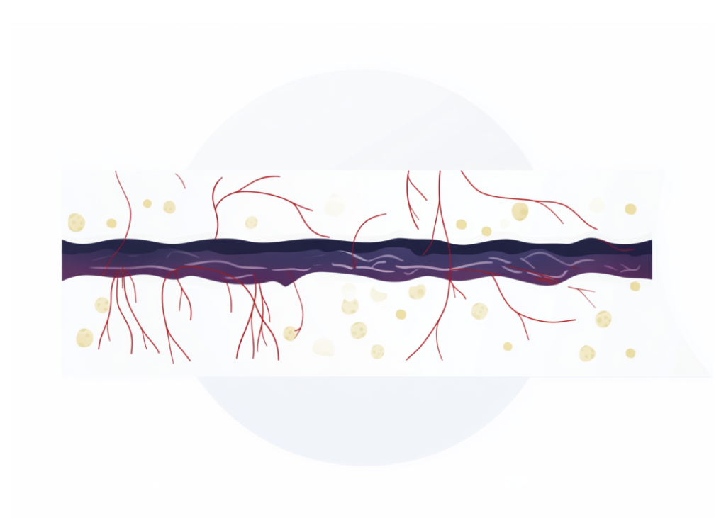 жировая ткань