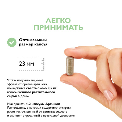 Артишок Гептофлекс, 60 капсул 