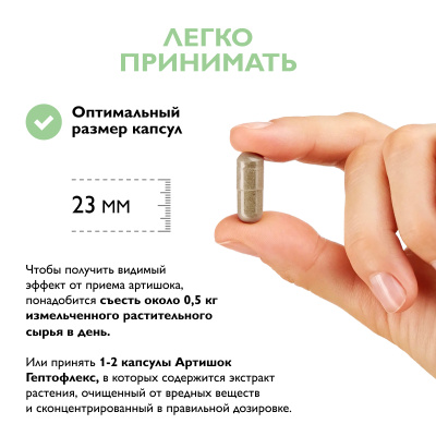 Артишок Гептофлекс, 60 капсул 